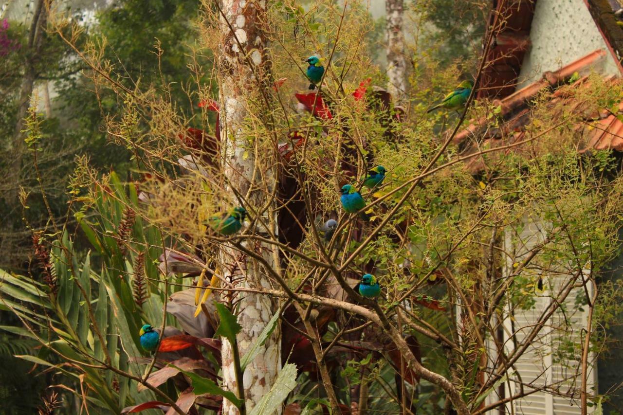 Quarto Varanda - Residencia Gaia Itatiaia Itatiaia  Dış mekan fotoğraf
